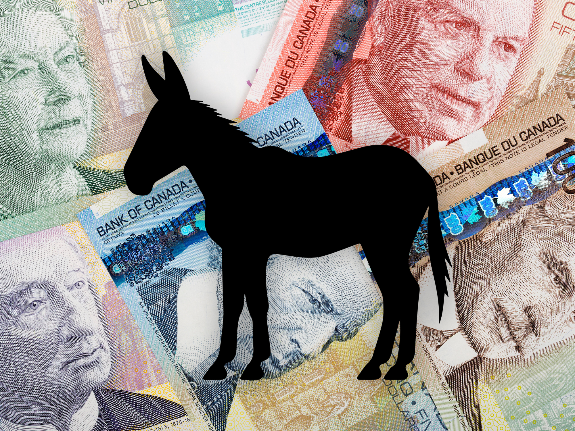 A mule is shown on a background of Canadian currency.
