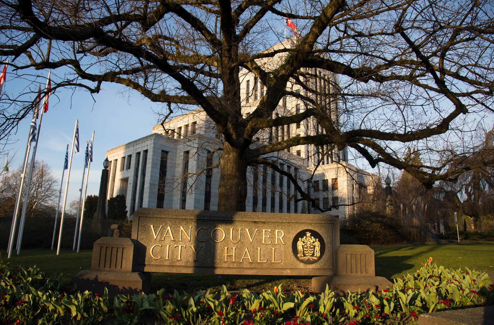 Vancouver City Hall is pictured behind a tree.