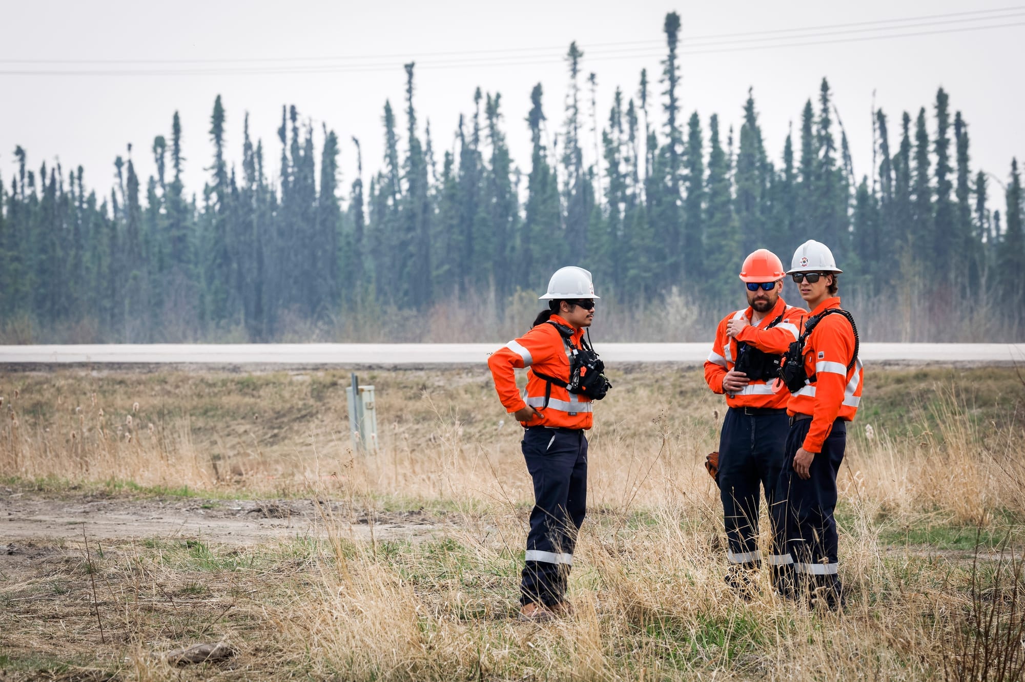 Three people in bright orange jackets and hard hats stand in a field of dry grass against a backdrop of sparse trees