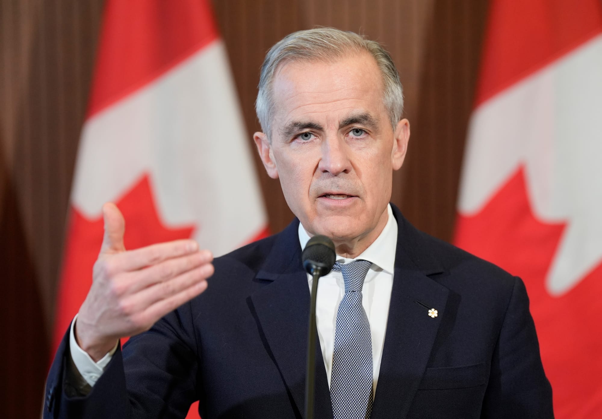 Prime Minister Mark Carney gestures with his hand while standing at a podium with Canadian flags in the background.