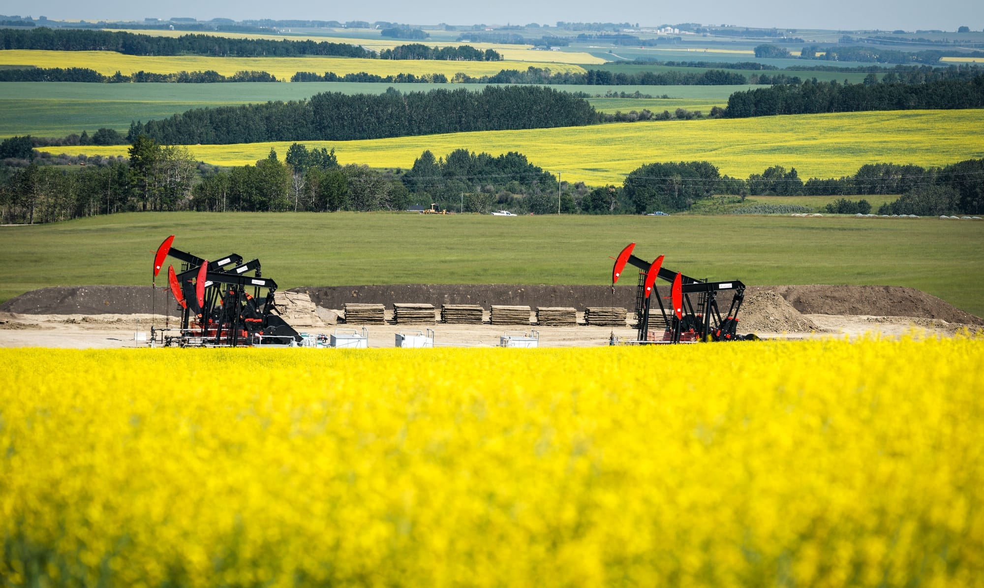 Pumpjacks draw out oil and gas from well heads surrounded by Canola fields near Cremona, Alberta. 